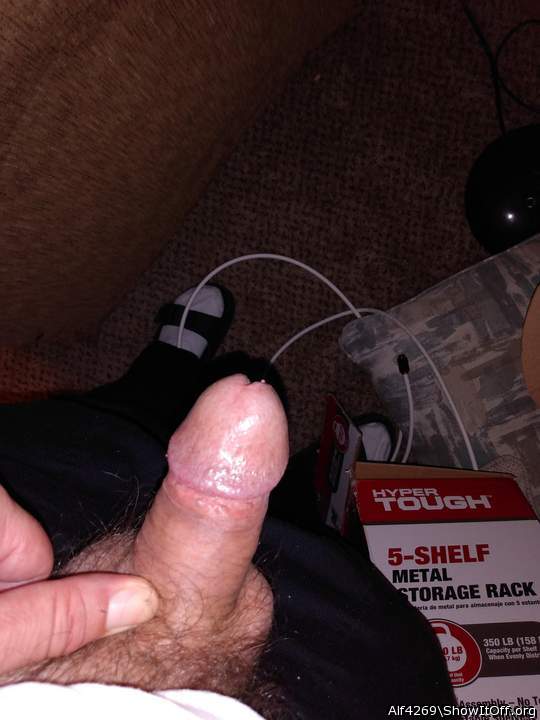 Photo of a tool from Alf4269