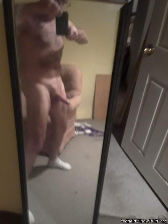 Photo of a horn from tedfield