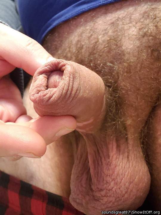 have a taste