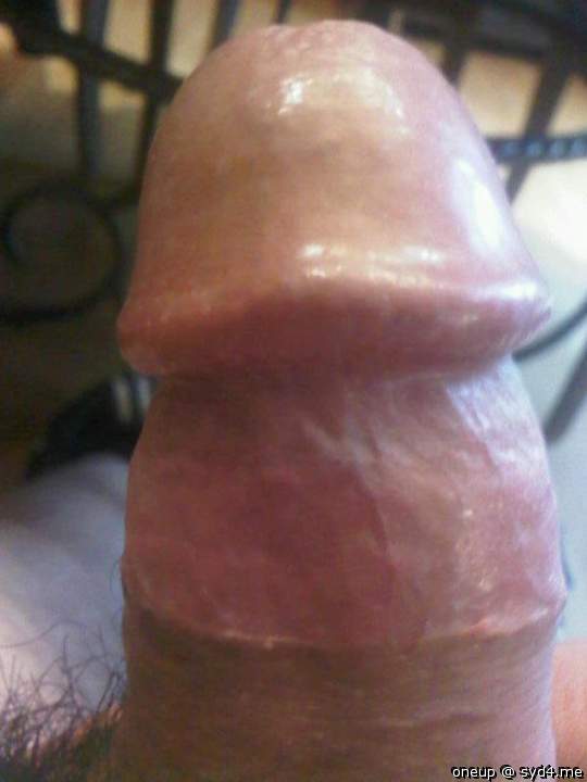 Photo of a python from oneup
