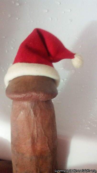 Santa Cock