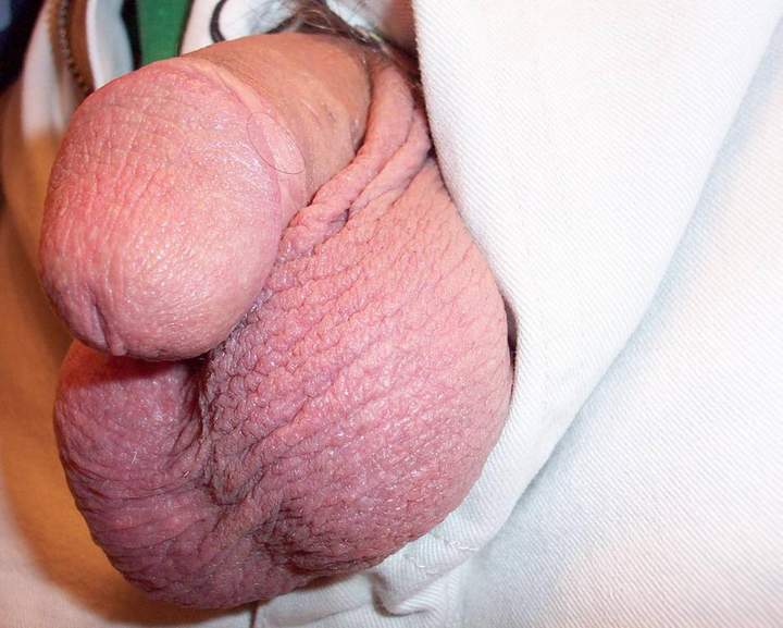 Photo of a thing from lilsoftee