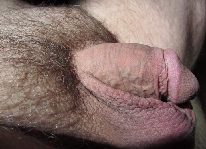 Photo of a dick from lilsoftee