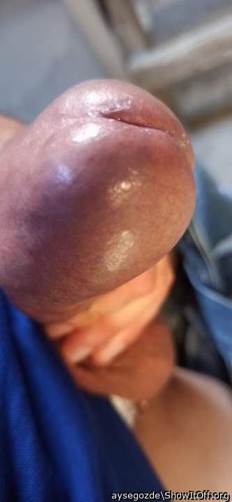 Testicles Photo from aysegozde