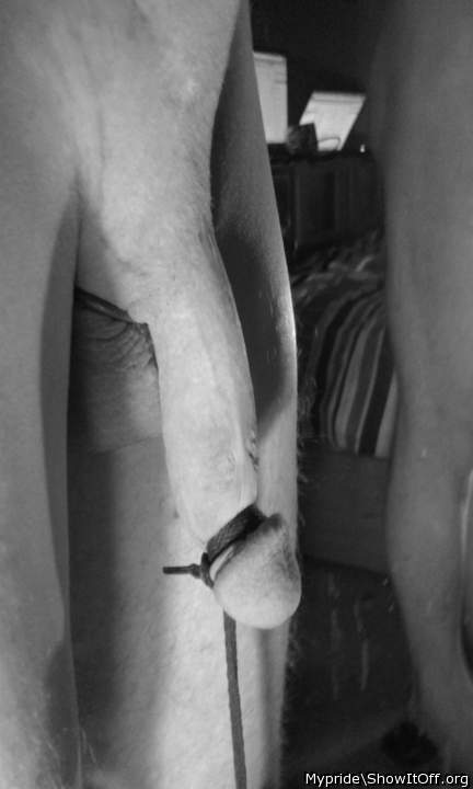Photo of a hot dog from Mypride