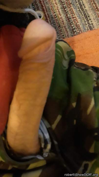 Photo of a hot dog from robert