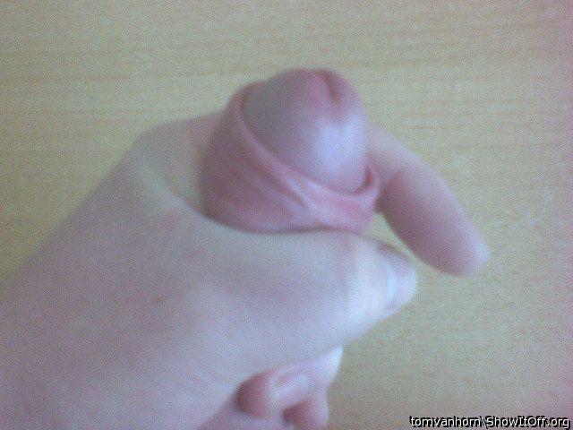 Photo of a cock from tomvanhorn