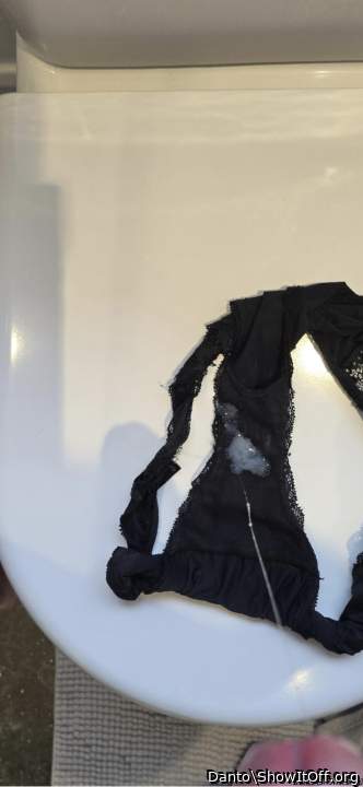 Photo of a middle leg from Danto