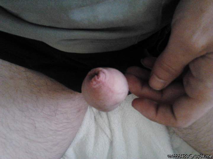 Photo of a bald-headed mouse from mc123456