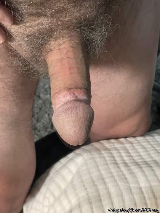 Photo of a bat from dodgerboy