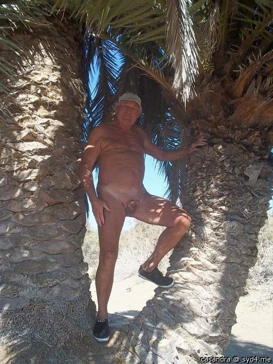 PALMTREE NAKED FUN