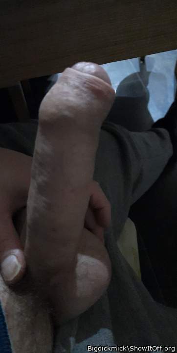 Photo of a lizard from Bigdickmick