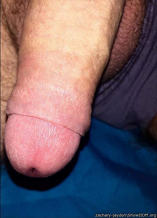 Photo of a stiffie from Boerseun