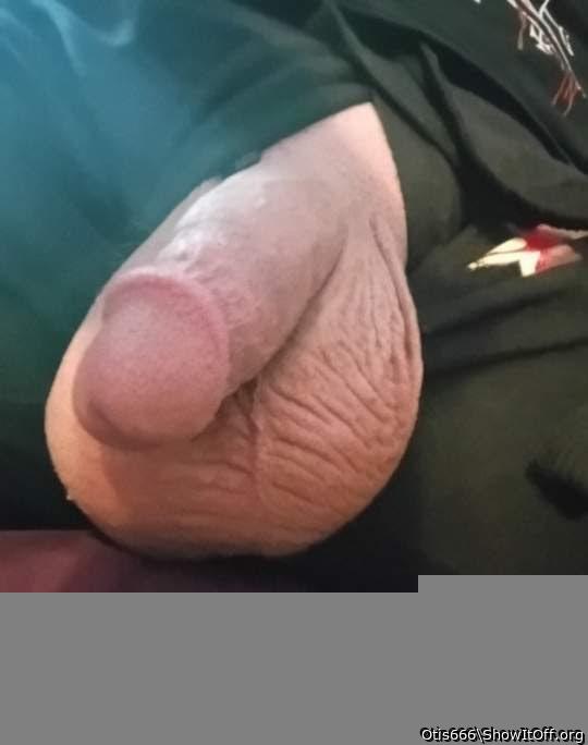 Photo of a python from Otis666