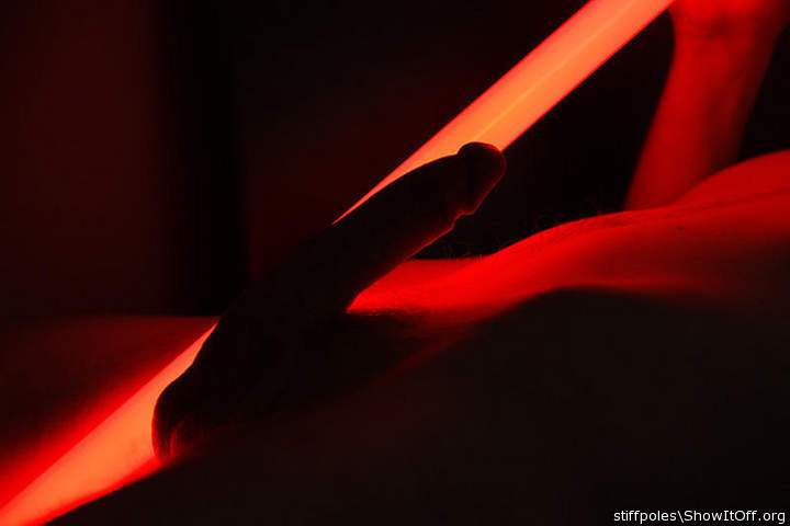 Photo of a bat from stiffpoles