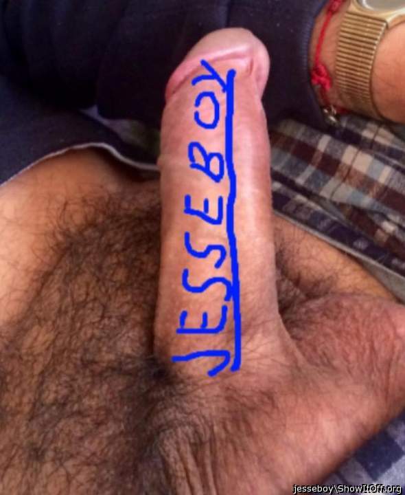 Photo of a bat from jesseboy