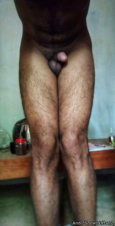Photo of a bat from Andii