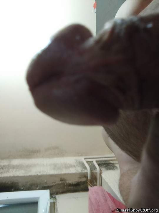 Photo of a horn from Sinisa