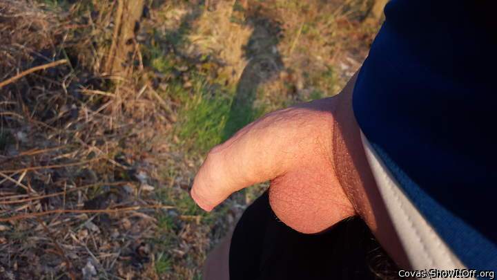 Photo of a tool from covas