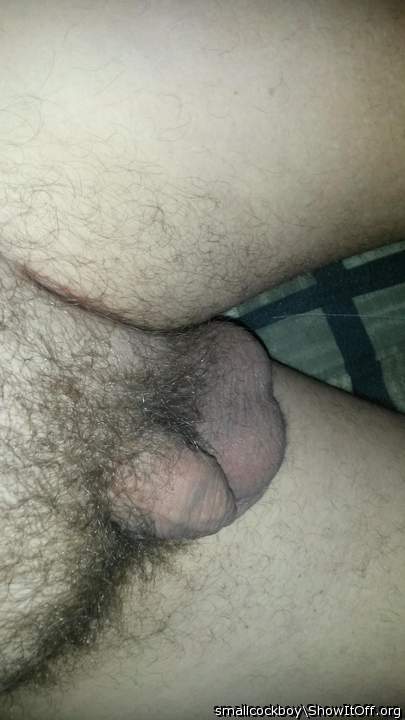 Photo of a penile from smallcockboy
