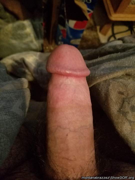 Photo of a weasel from Montanabrazzez