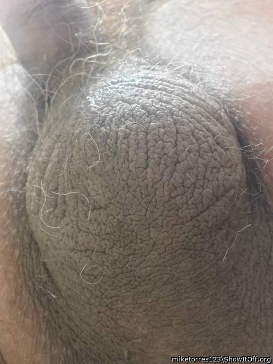 Testicles Photo from miketorres123