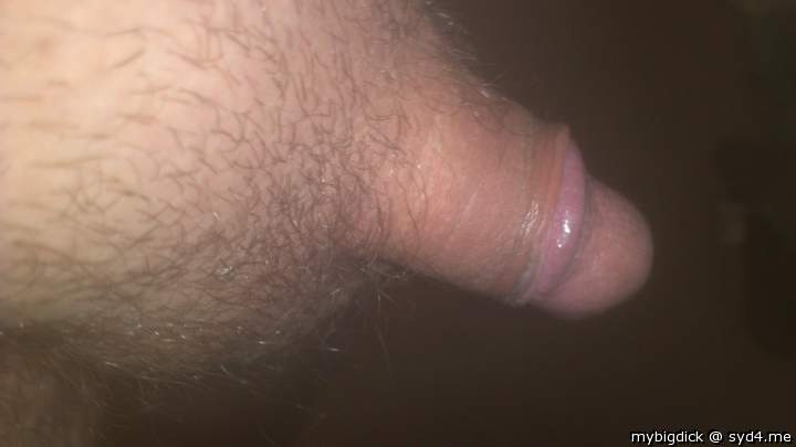 Photo of a boner from mybigdick