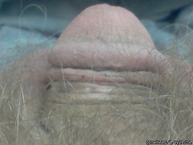Photo of a phallus from jonwilleatu