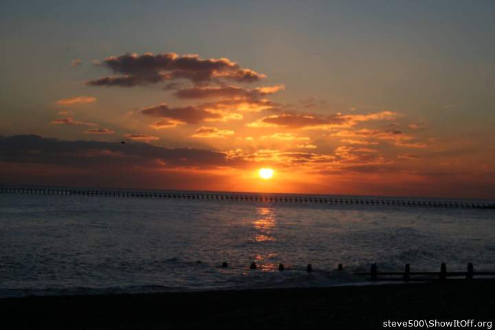 Photo of a weasel from steve500