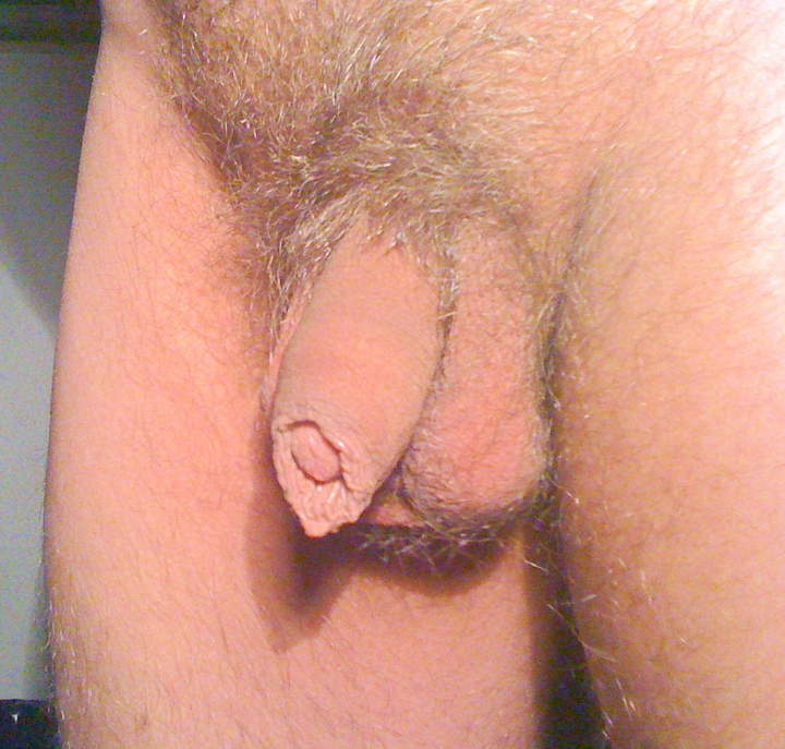 Photo of a lizard from Tommotino