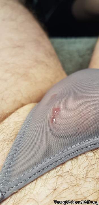 Pre cum through sheer panties