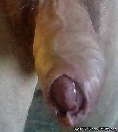 Photo of a third leg from Ade59