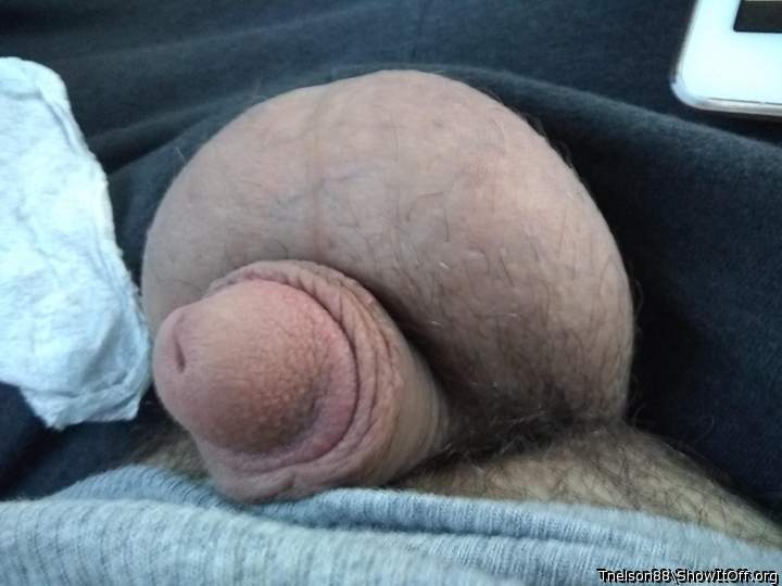 Photo of a pecker from Tnelson88