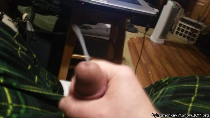 Photo of a cavalier from flyingmonkey7