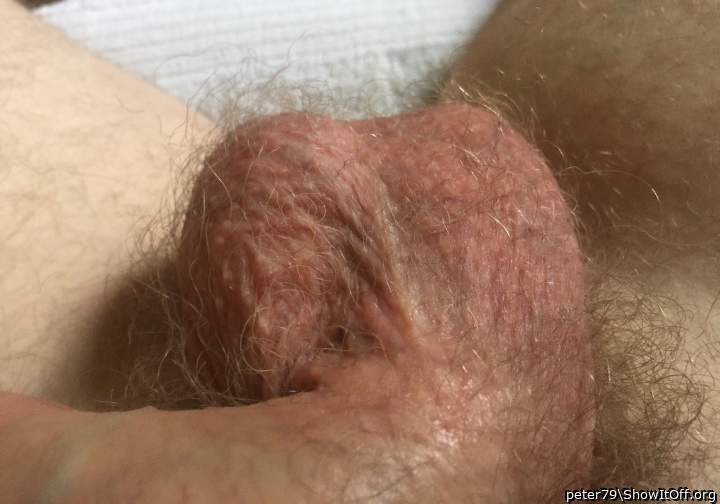 Testicles Photo from peter79