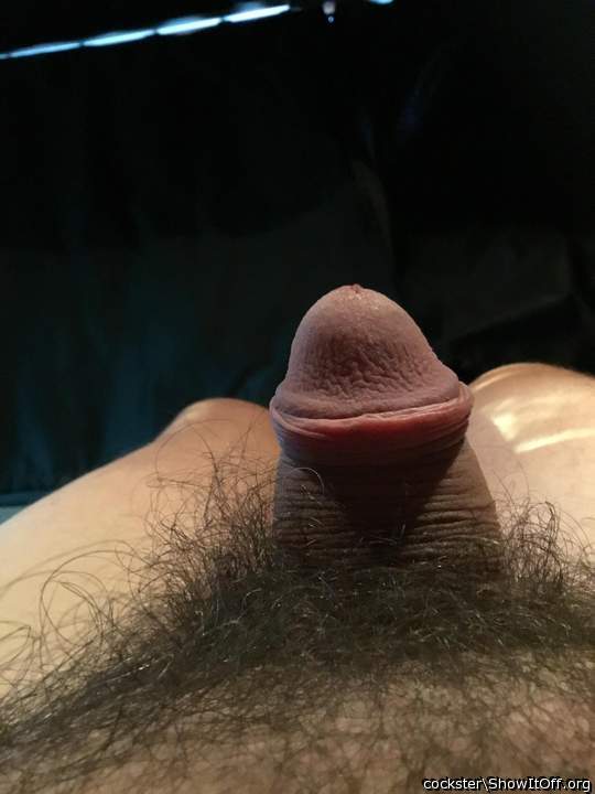 Photo of a schlong from Cockster