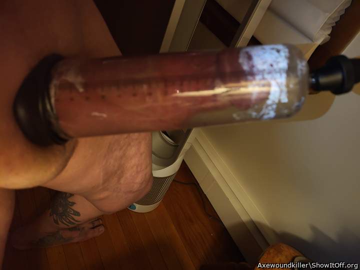 Photo of a snake from Pussslayer