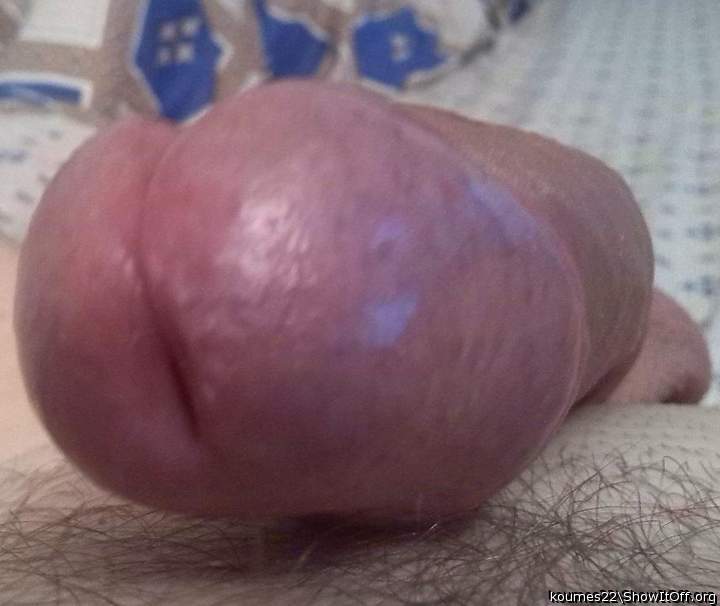Photo of a dong from koumes22