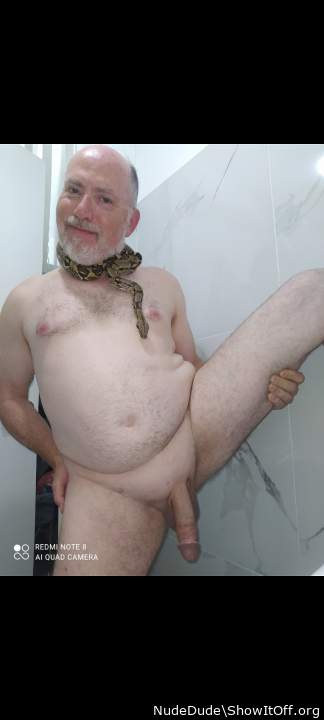 With pet boa constrictor; which snake do you prefer?