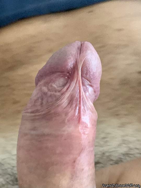 Nice frenulum ! 