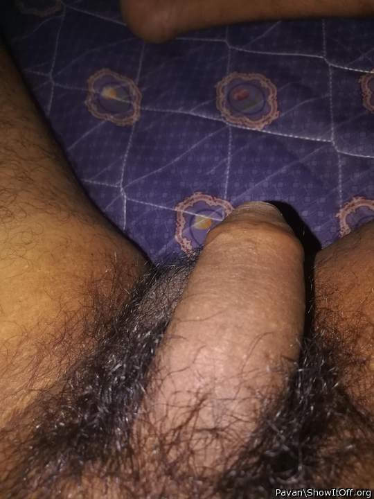 Photo of a cavalier from pavan