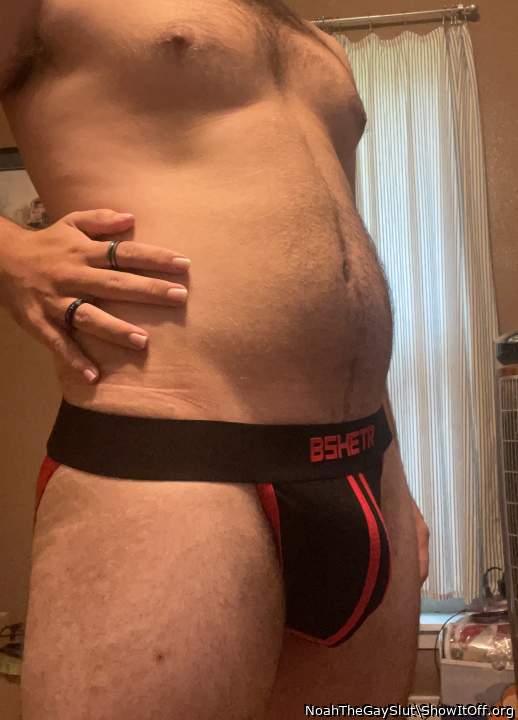 Photo of a cavalier from NoahTheGaySlut