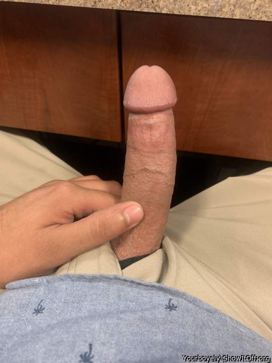 Photo of a lizard from Yourboyely