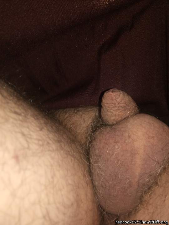 Photo of a horn from redcock62