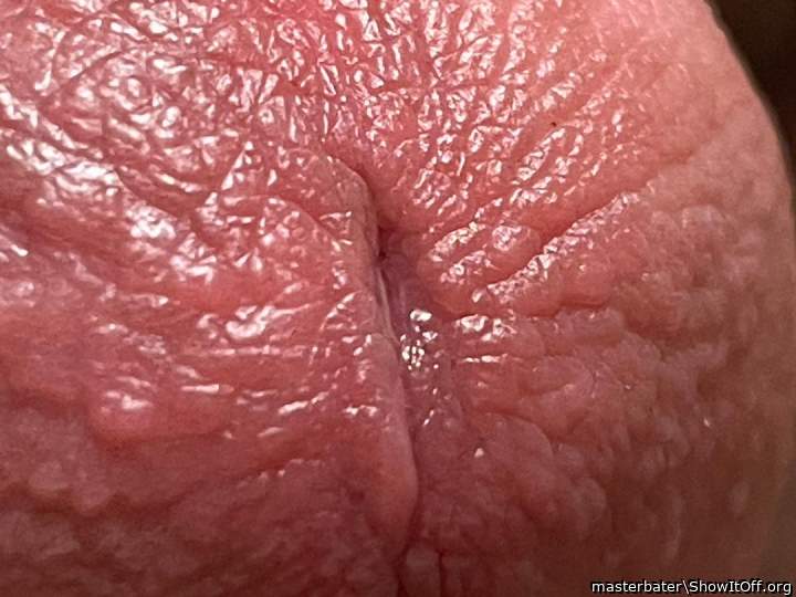 Beautiful closeup
