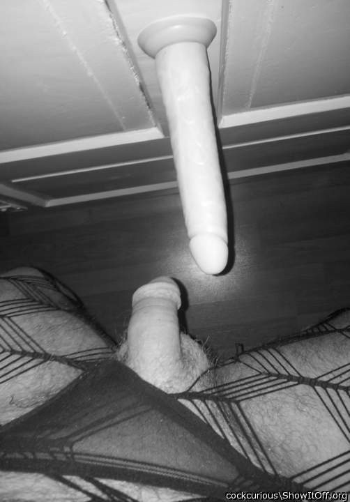 Photo of a middle leg from CockCurious