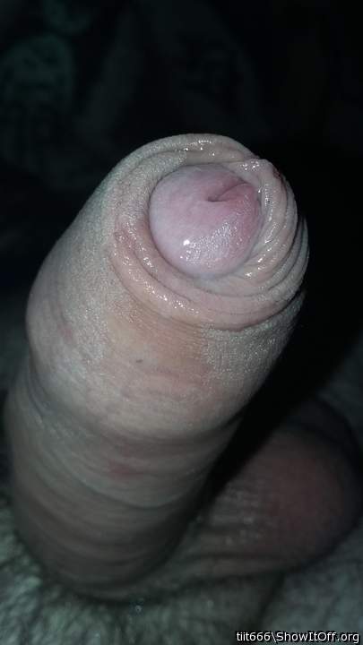 Photo of a weasel from tiit666