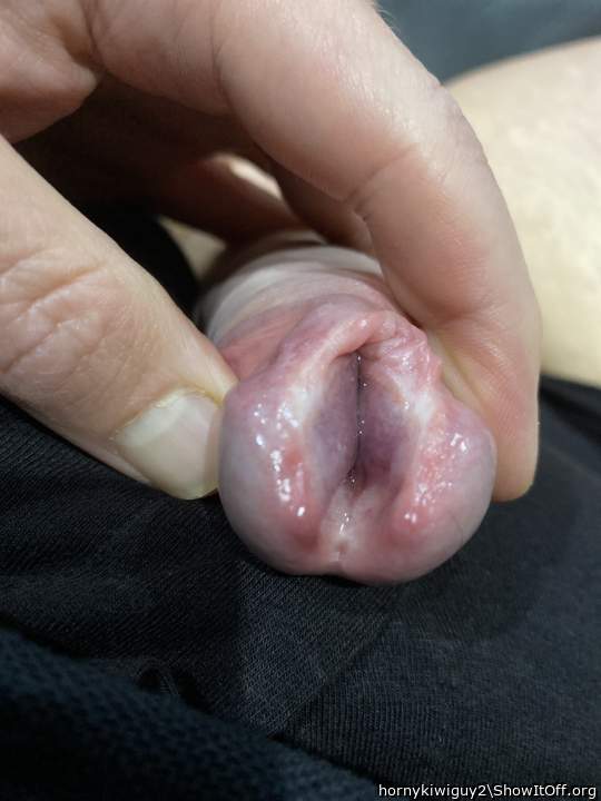 Photo of a purple headed monster from hornykiwiguy2