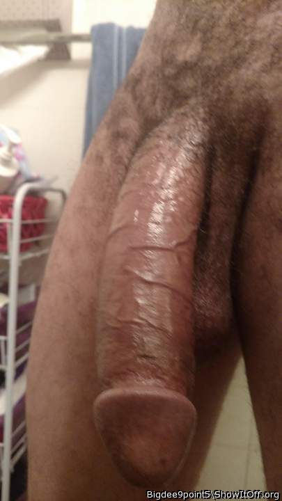 Hung Tool. Big veins cock mate