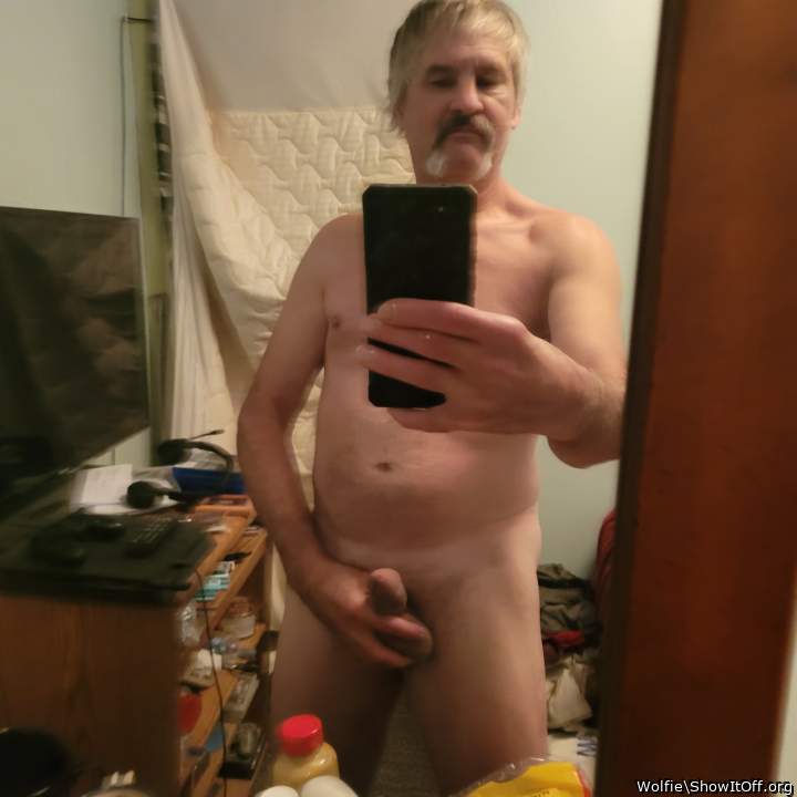 Photo of a prick from Wolfie